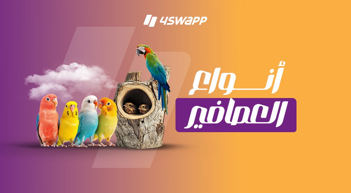بالصور: أنواع العصافير وأسمائها وأسعارها