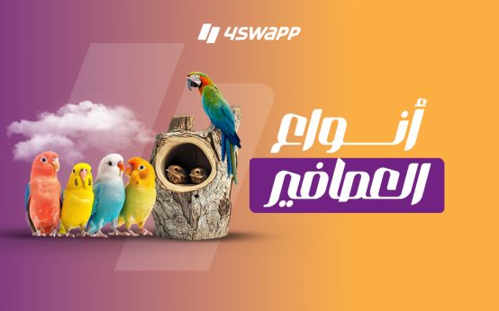 بالصور: أنواع العصافير وأسمائها وأسعارها