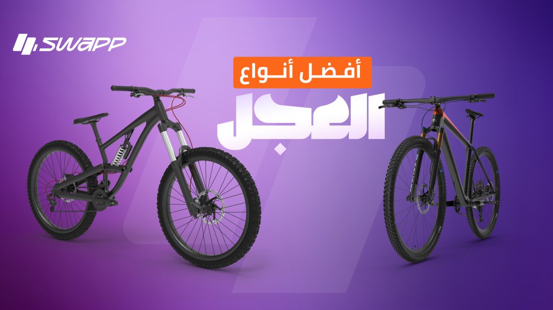 أنواع العجل في مصر 2025