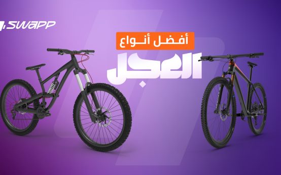 أنواع العجل في مصر 2025